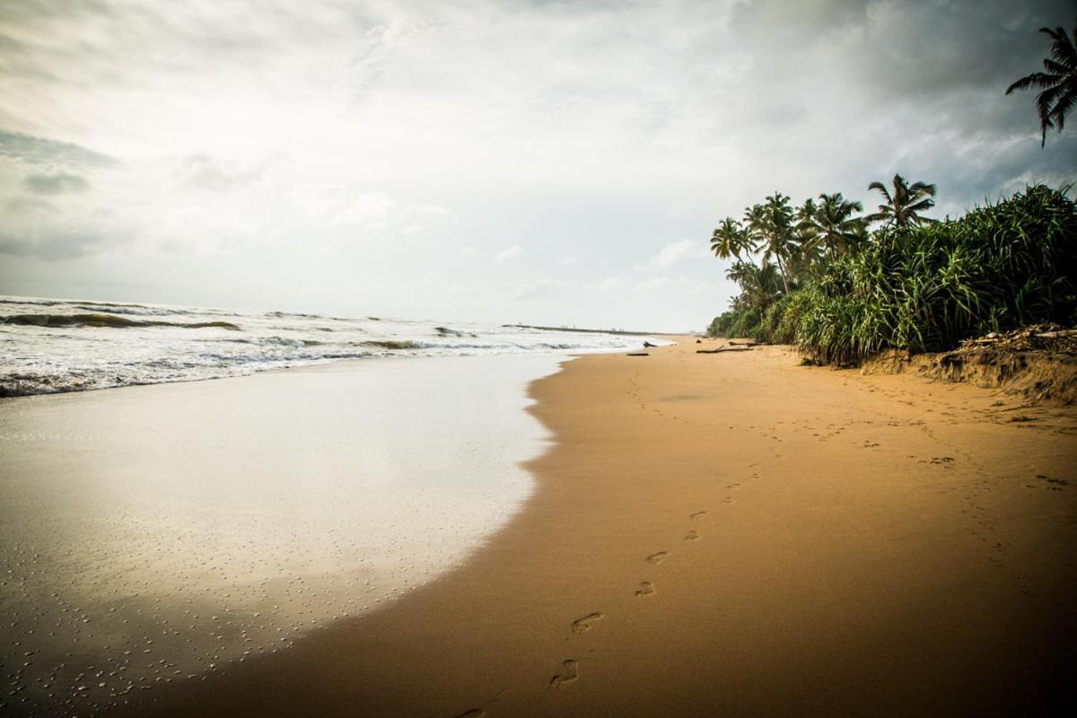 Infinity Of Sri Lanka Hotell Paiyagala Eksteriør bilde