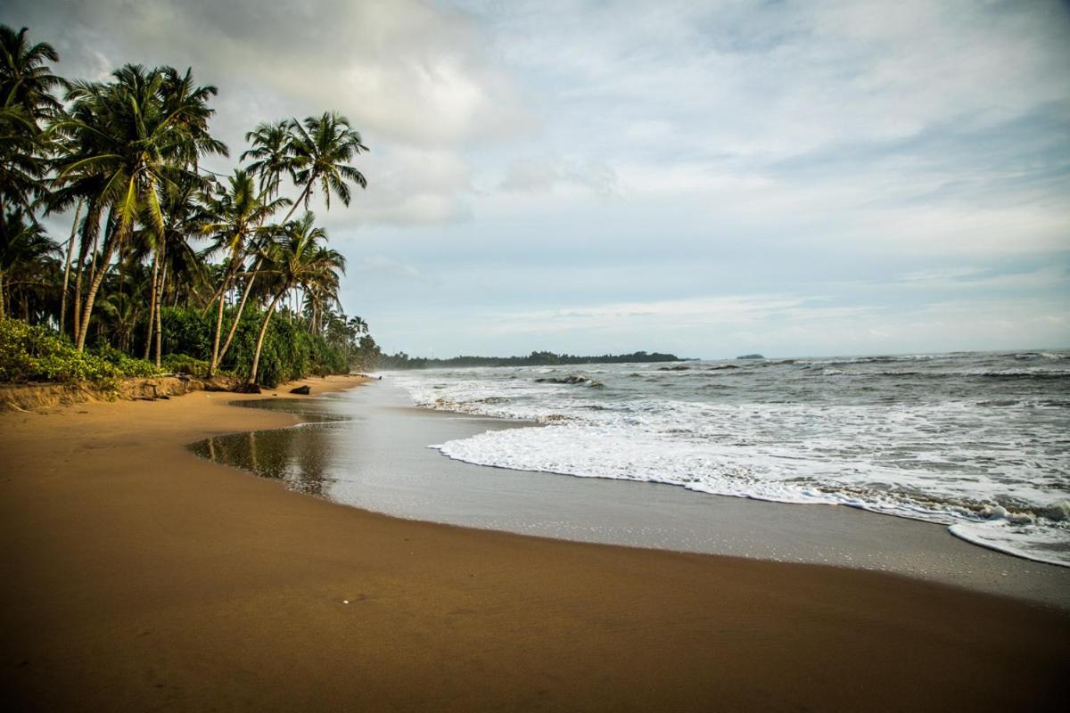 Infinity Of Sri Lanka Hotell Paiyagala Eksteriør bilde