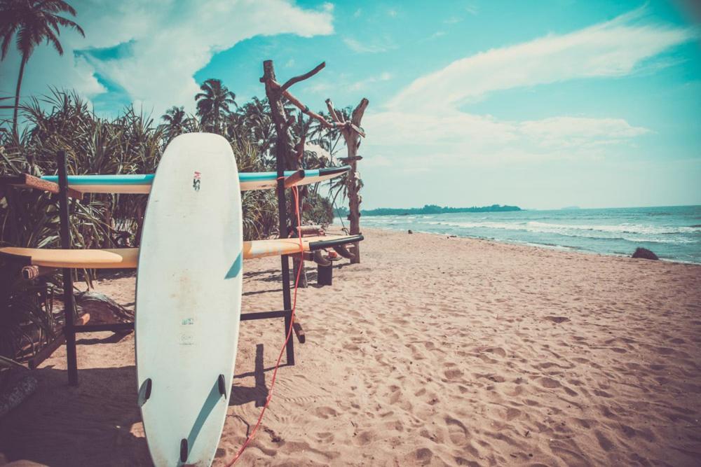 Infinity Of Sri Lanka Hotell Paiyagala Eksteriør bilde
