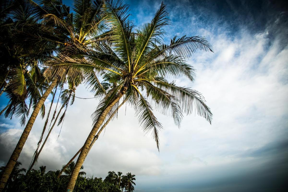 Infinity Of Sri Lanka Hotell Paiyagala Eksteriør bilde