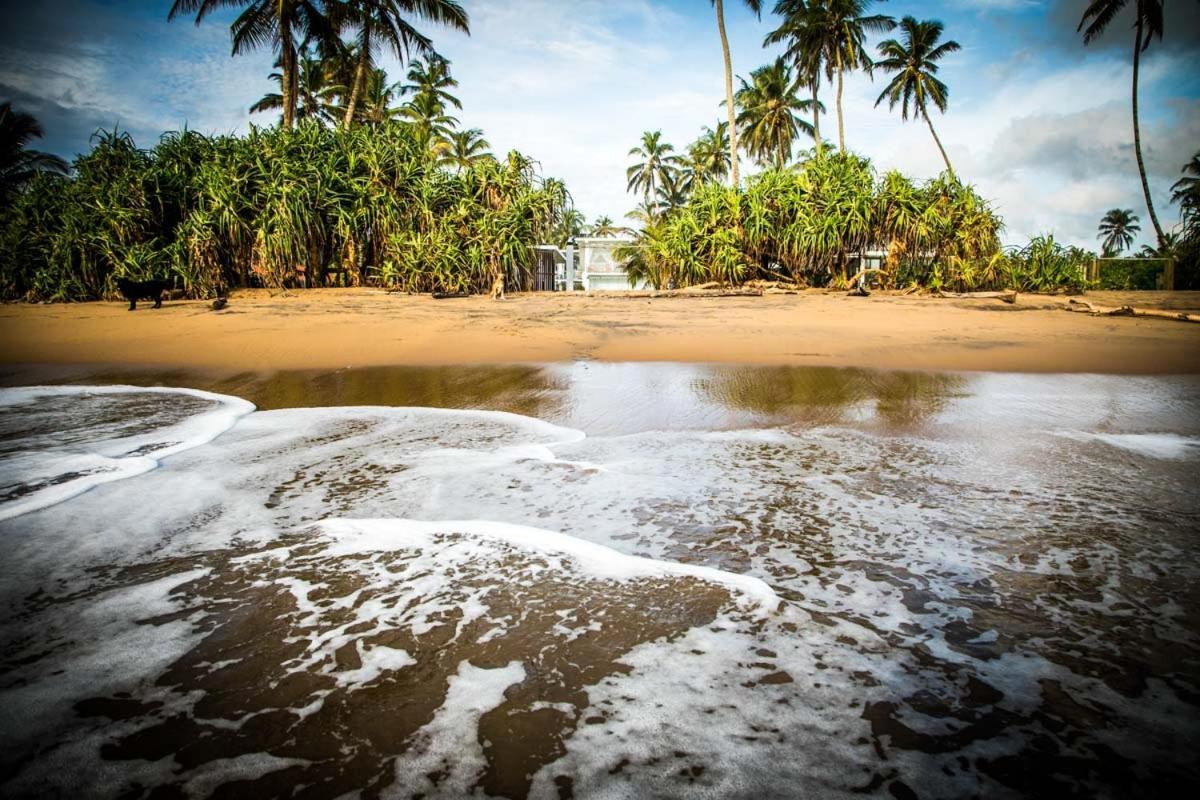 Infinity Of Sri Lanka Hotell Paiyagala Eksteriør bilde