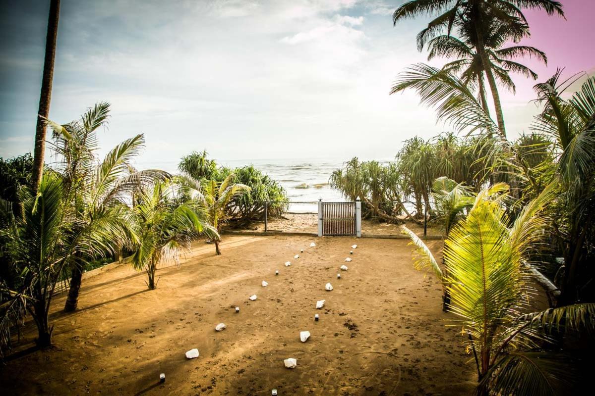 Infinity Of Sri Lanka Hotell Paiyagala Eksteriør bilde